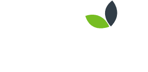 Dibo